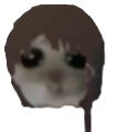 lain_sad_hampter Discord emoji