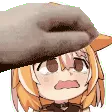 eicorgi_petpet