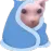 ccgg_binguscozy