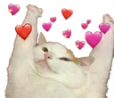 YISS