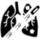 organs Discord Emoji - [NÉMÉSIS]-|PVE|PVAI|-Deerisle-|[FRANCOPHONE||FR|