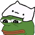 bongopepe