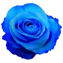 emoji_496