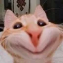 7ayyy