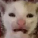 edgy_catcrying