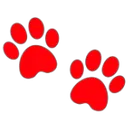 pawred