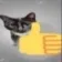 catthumbsup