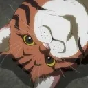 TanishiStare