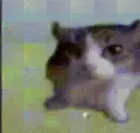 Explode Explode