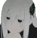 Echidna_Interested