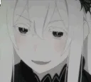 Echidna_Explaning