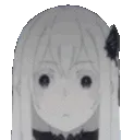 Echidna_Impressed