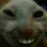 xdd