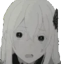 Echidna_Shy