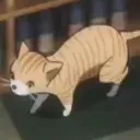 feline2