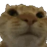 no