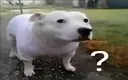 1ee8dbf5f5424e63926a7a5e8cc3e9ed