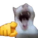 cat_laugh