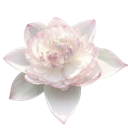 ss_flower Discord emoji