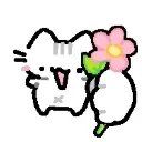 flowercat flowercat