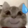 CatOupsy