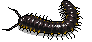 cyanide Discord emoji