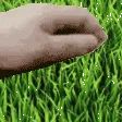 touchsomegrass