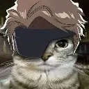 cat_izen