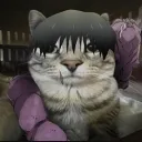 cat_oji