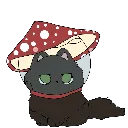 mushroomkitty