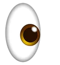 eye_right