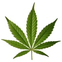 weed