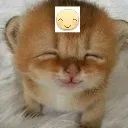 happycat