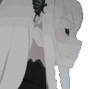 Echidna_Superior