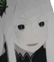 Echidna_Explaning