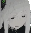 Echidna_Interesting