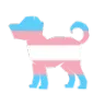 translab