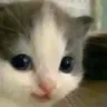 Hehe