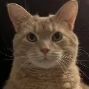 breadStare breadStare