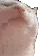 CatJam