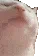 catJam