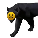 hapyshadow