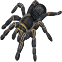aseemeny Discord emoji
