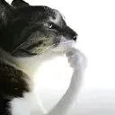hmm