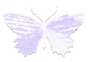 1b_Fly