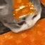 kit_lava