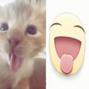 cat_tongue Discord emoji