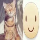 cat_smile