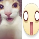 cat_gasp Discord emoji