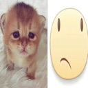 cat_sulk Discord emoji